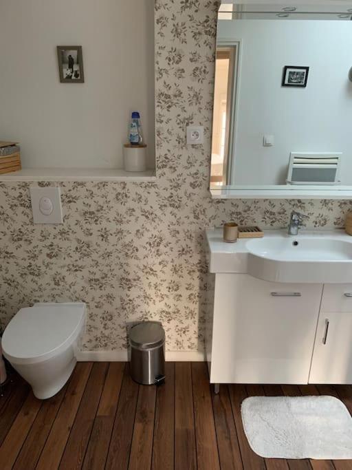 Appartement Duplexcoeur De Ville Мец Екстериор снимка